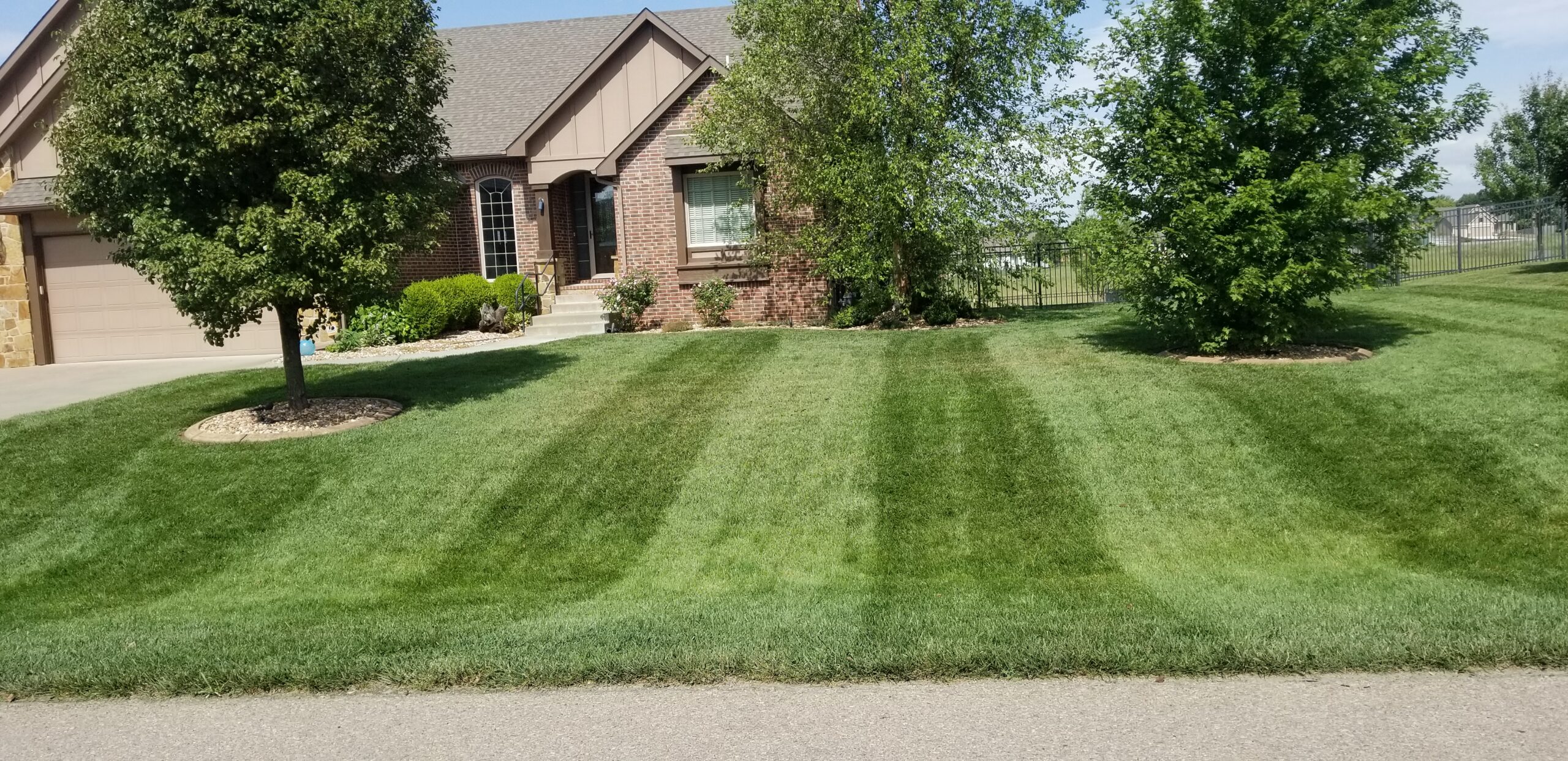 Get your Stripe on with a Cool Season Grass