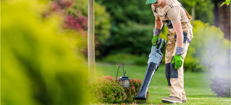 How do you price lawn care?