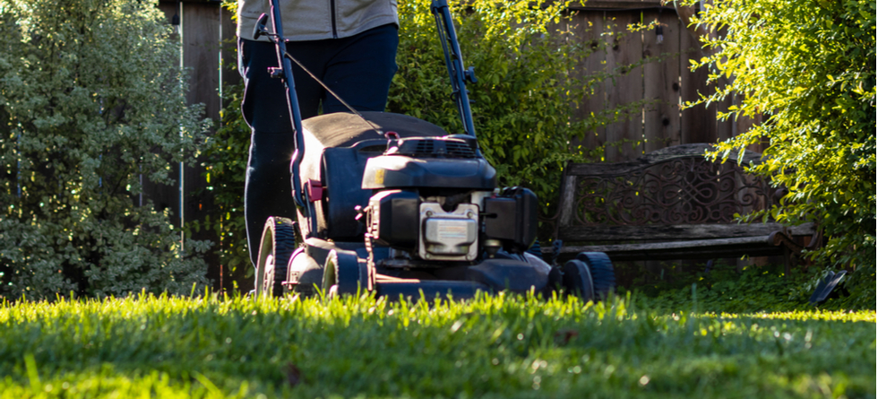 How much does TruGreen charge for lawn care?