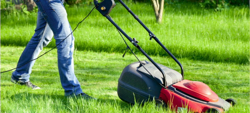 How much does it cost to have your lawn mowed?