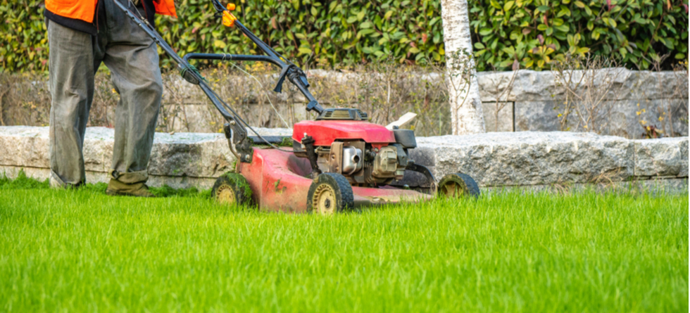 How much is lawn care monthly?