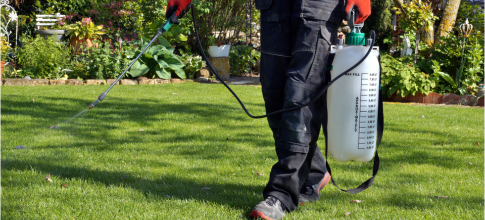 Is TruGreen a good lawn service?