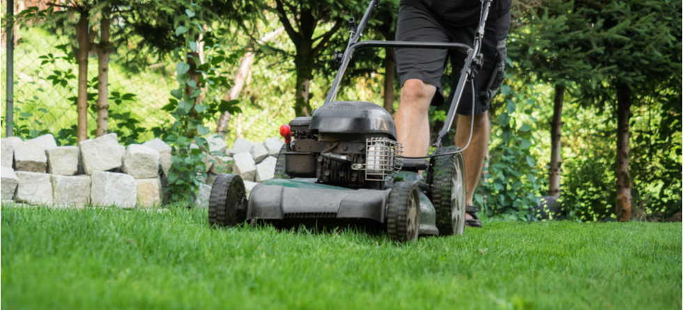 Is TruGreen lawn care safe?