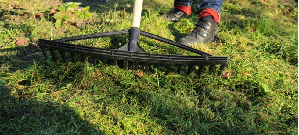 Is it OK to leave grass cuttings on the lawn?