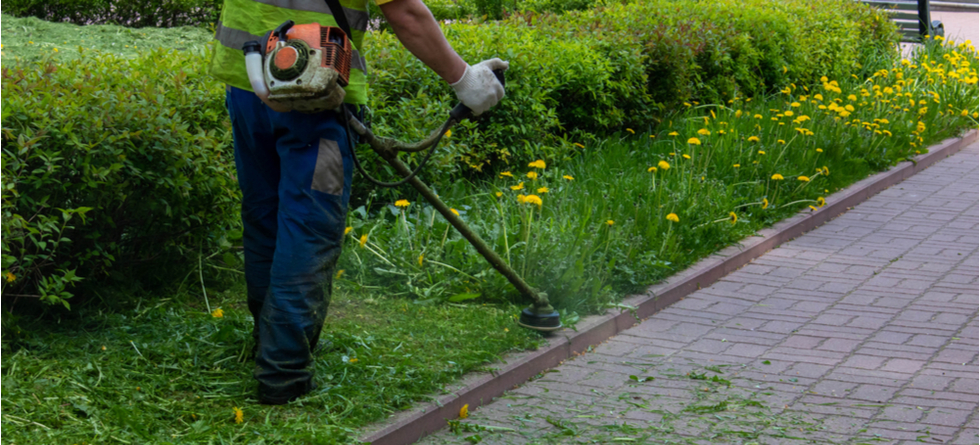 Is lawn care service worth the money?