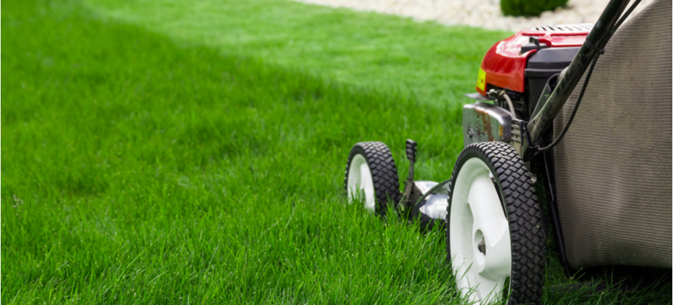 What is the best lawn care service?
