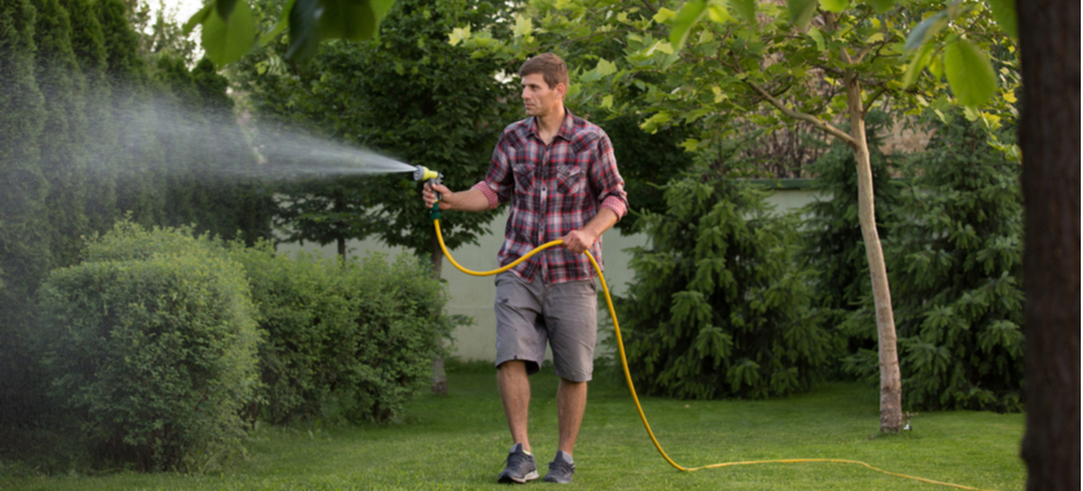 What month should I start watering my lawn?