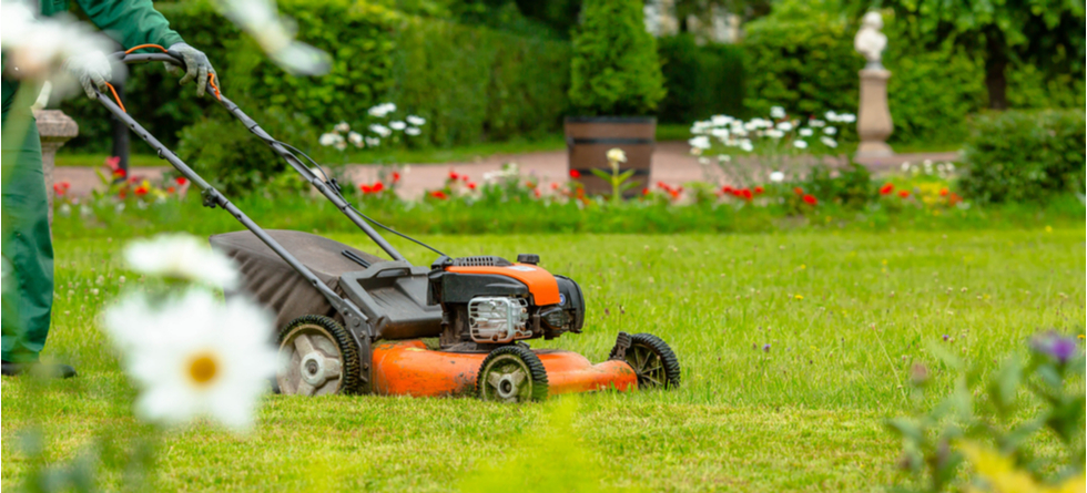 What's the best way to maintain your lawn?