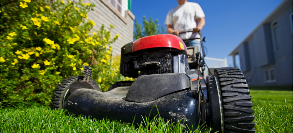 When should I start lawn care?